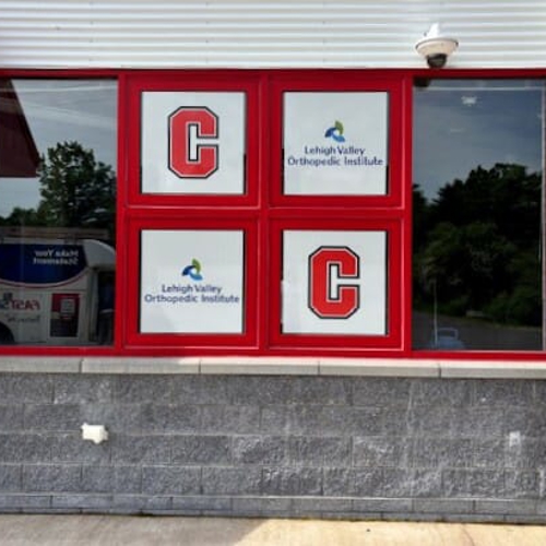 Window Graphics